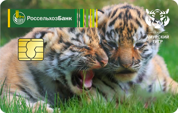 Кредитная карта «Амурский тигр» Mir Classic от Россельхозбанка